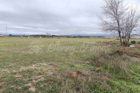 Landejendom i Almansa, Albacete, Almansa - € 125.000 | Ref: SF0553 - foto 29